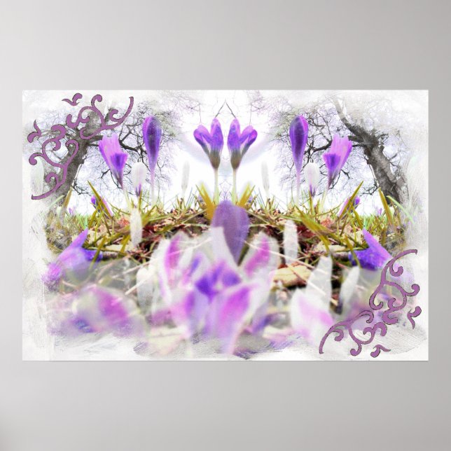 Affiche Crocus printaniers (Devant)