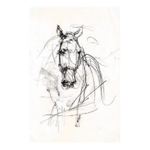 Croquis Abstrait pour portrait de cheval - Premium