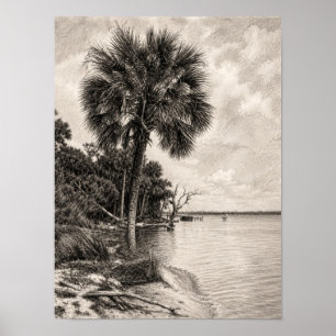 Affiche Croquis au graphite de l'ancienne côte de Floride
