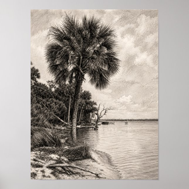 Affiche Croquis au graphite de l'ancienne côte de Floride  (Devant)