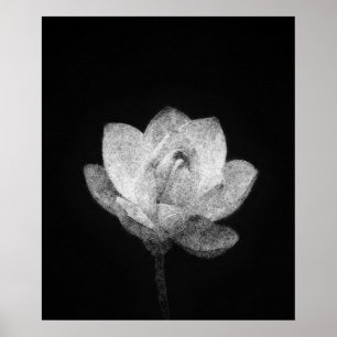 Affiche croquis de bulle de lotus en fleurs