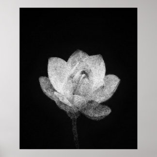 Affiche croquis de bulle de lotus en fleurs