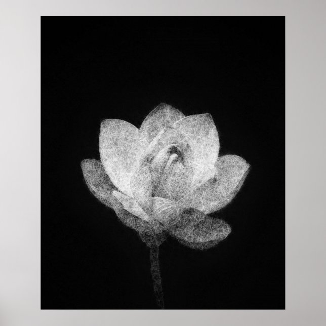 Affiche croquis de bulle de lotus en fleurs (Devant)