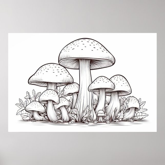 Affiche Croquis de champignons (Devant)