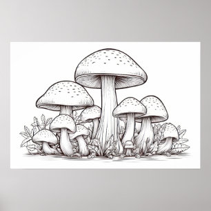 Affiche Croquis de champignons