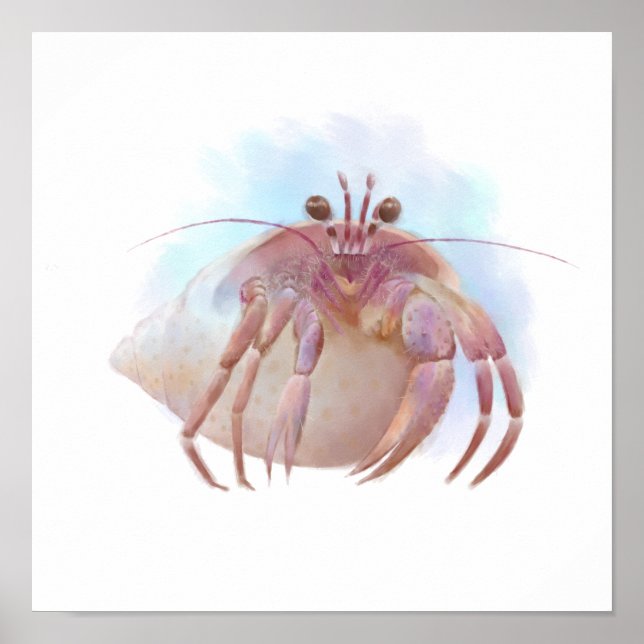 Affiche Croquis de crabe aux hermites (Devant)