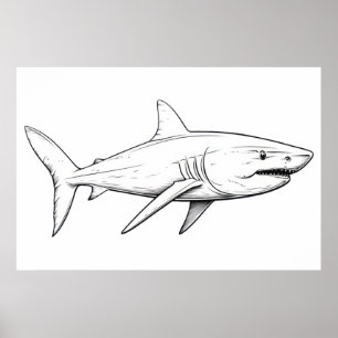 Affiche Croquis de requin