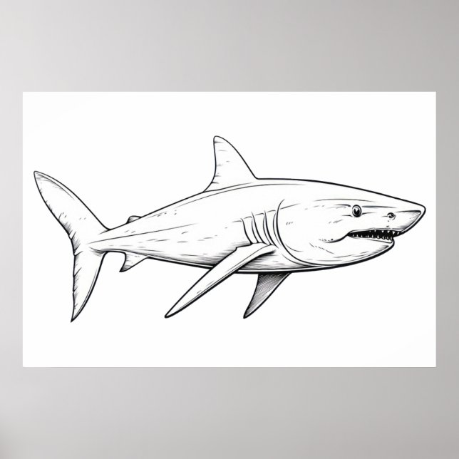 Affiche Croquis de requin (Devant)