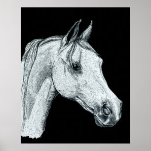 Affiche Croquis d'encre de cheval arabe