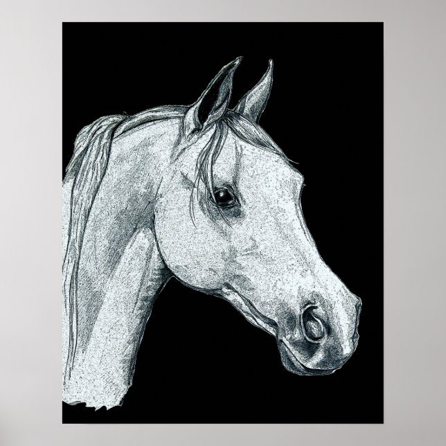 Affiche Croquis d'encre de cheval arabe (Devant)