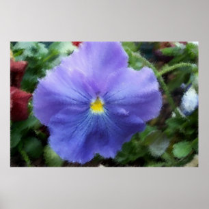 Affiche Croquis doux Pansy Bleu