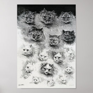Affiche Croquis du chat, Louis Wain