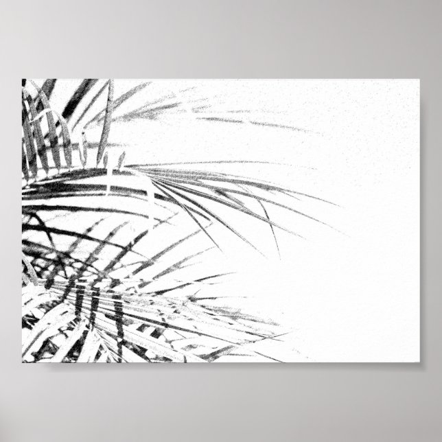 Affiche Croquis minimalisme Feuille Palm Tree (Devant)