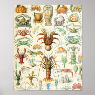 Affiche Crostères Adolphe Millot