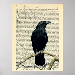 Affiche Crow Perché, Crow Art, Corbeau, Edgar Allan Poe