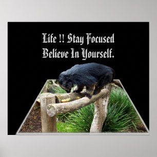 Affiche Croyez En Vous-Même Message Avec Bearcat,