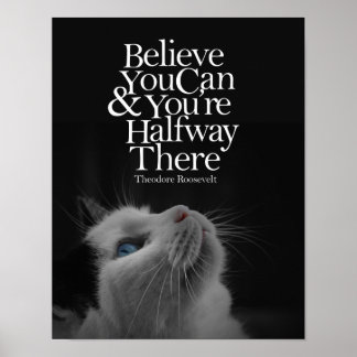 Affiche Croyez Que Vous Pouvez Beau Cat Citation Motivatio