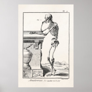 Affiche Cru pensant l'anatomie Médicale squelettique