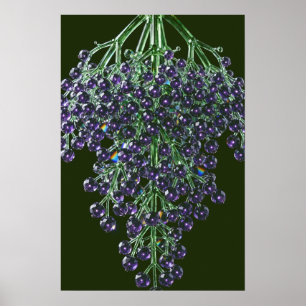 Affiche Crystal Elderberry — Crystal Harvest