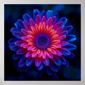 Affiche Crystalline Cascade