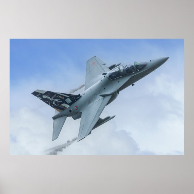 Affiche CSX7352 F-2000A 36 Hommage du centenaire de Stormo (Devant)