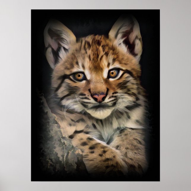 Affiche Cube Lynx (Devant)