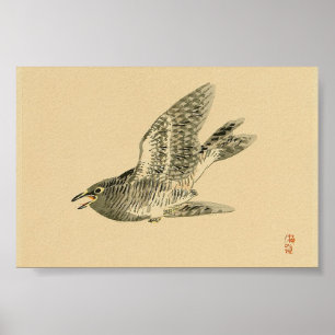 Affiche Cuckoo (Art japonais) (par Kono Bairei)