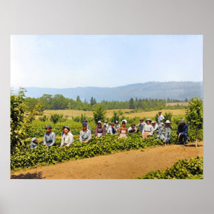 Affiche Cueillette de fraises Hood River Valley Oregon ann