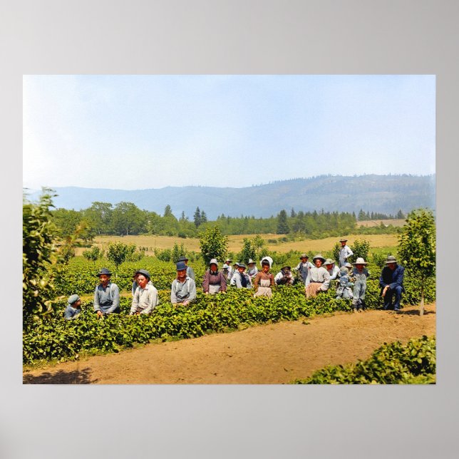Affiche Cueillette de fraises Hood River Valley Oregon ann (Devant)