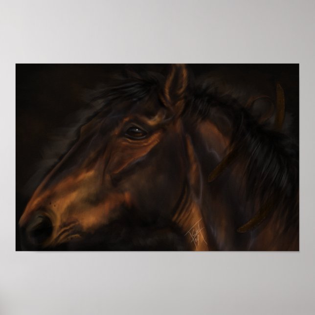 Affiche Cuir (Devant)