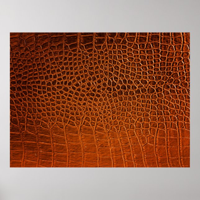 Affiche Cuir de crocodile Brown (Devant)