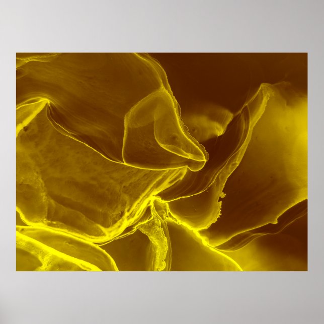 Affiche Cuir rouge, texture (Devant)