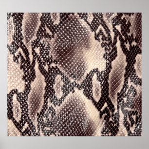 Affiche Cuir serpent : texture brune transparente