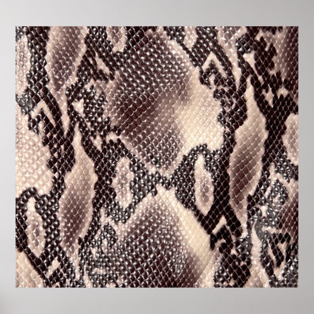 Affiche Cuir serpent : texture brune transparente (Devant)