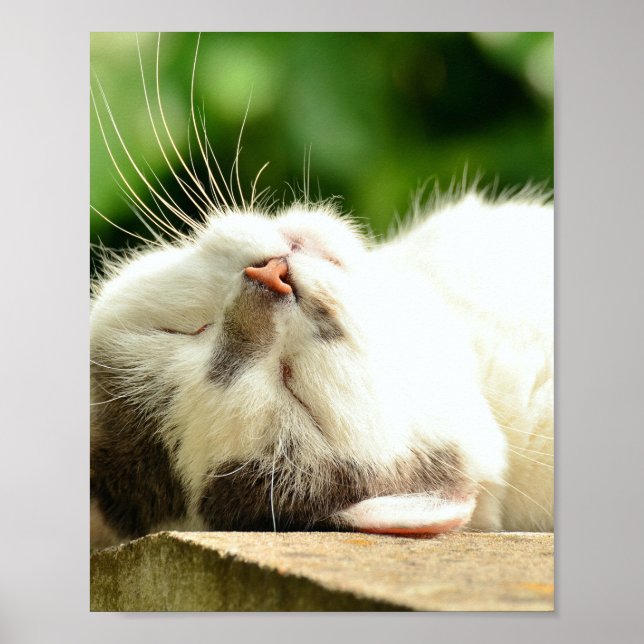 AFFICHE CUISINE DE NAPPING (Devant)