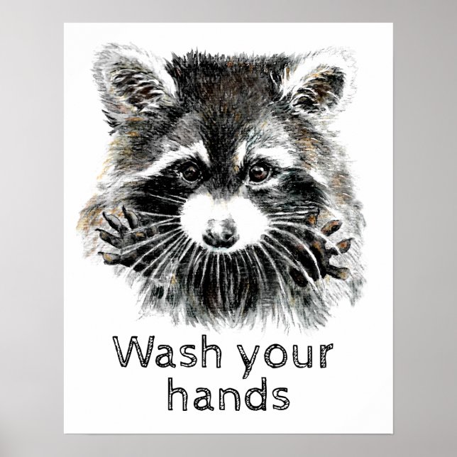 Affiche Cuisine salle de bain Lavez vos mains Raccoon Anim (Devant)