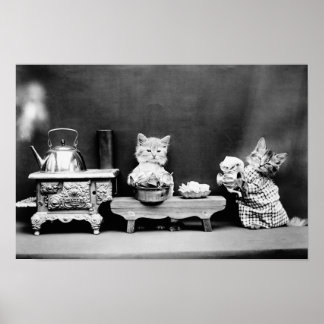Affiche Cuisines de lave-chatons - Harry Whittier Frees -