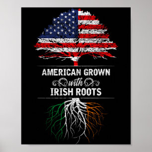 Affiche Cultivé en Amérique avec des racines irlandaises 4