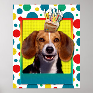 Affiche Cupcake d'anniversaire - Beagle