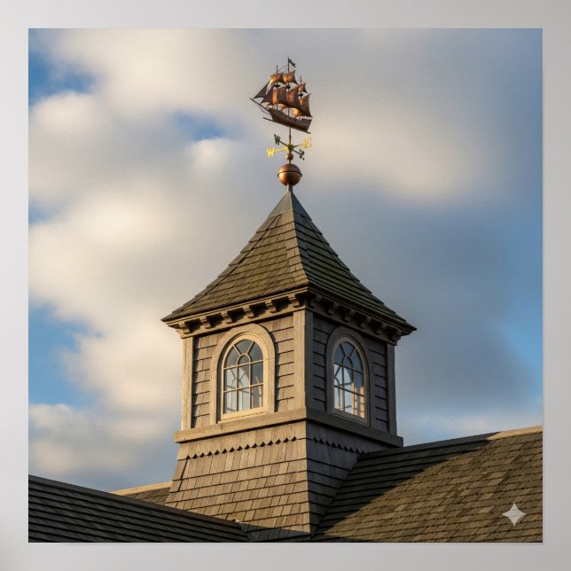 Affiche Cupola en bois foncé (Devant)