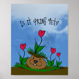 Affiche Curieux marmotte à la recherche de printemps