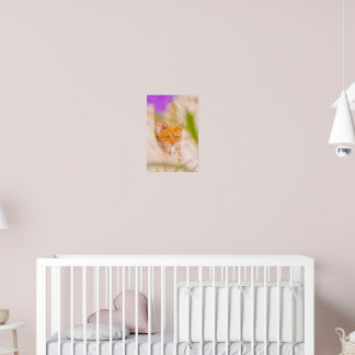 Affiche Curieux Matin Maltais