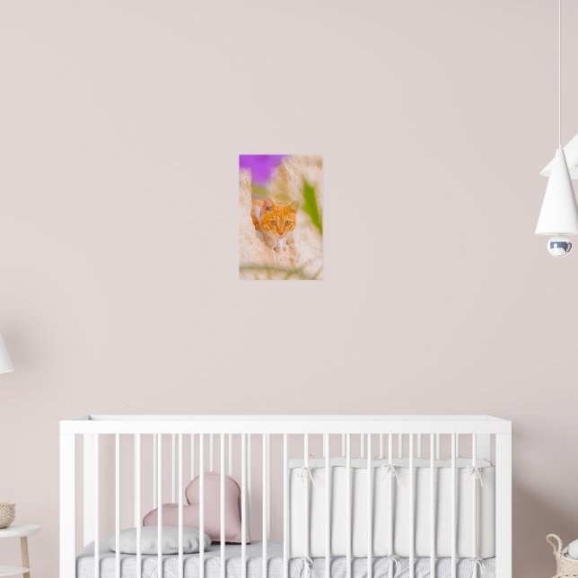 Affiche Curieux Matin Maltais (Pépinière 2)