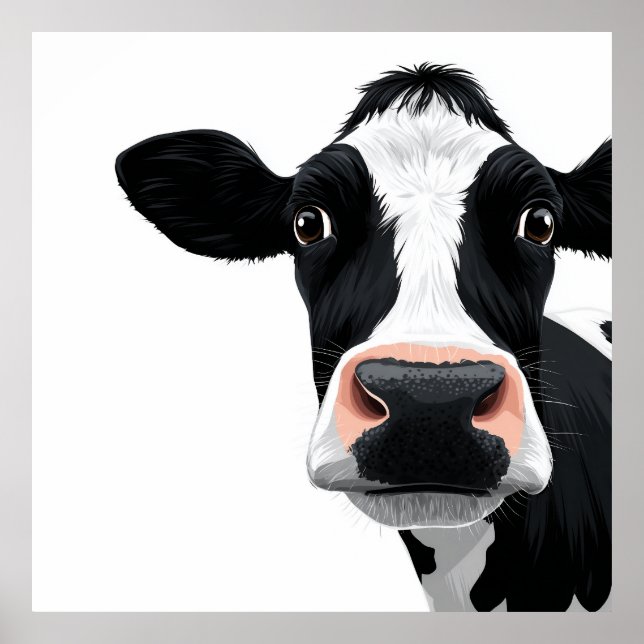 Affiche Curiosité de vache en gros plan (Devant)