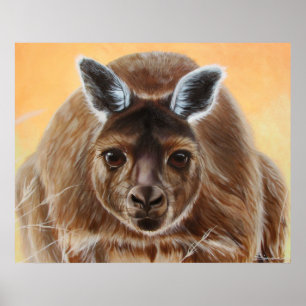 AFFICHE CURIOUS