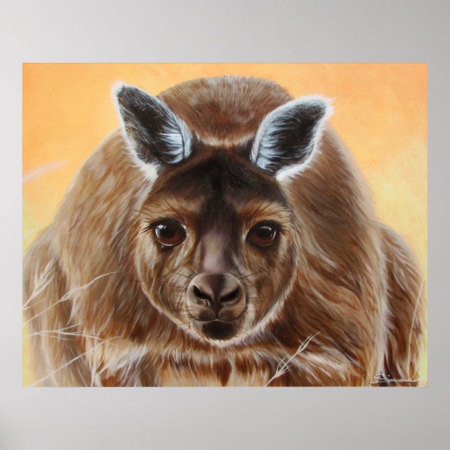 AFFICHE CURIOUS (Devant)