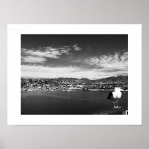 Affiche Curious Fellow Bird Black and White Photographie