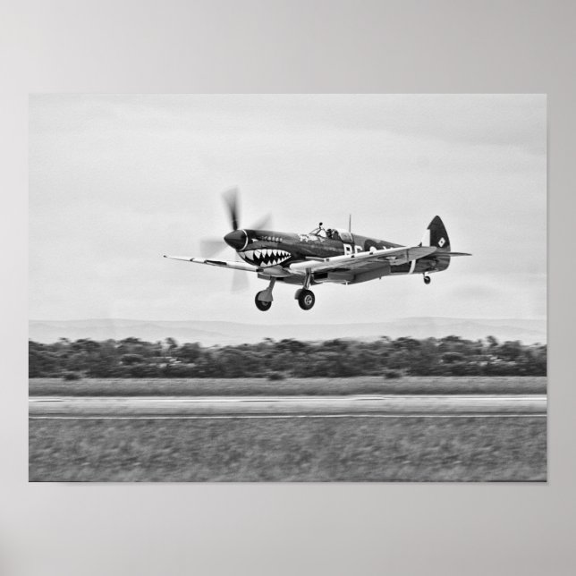 Affiche Curtiss P-40 Warhawk Fighter Air Plane (Devant)