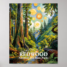 Custom Van Gogh Redwood National Park Hiking Trail