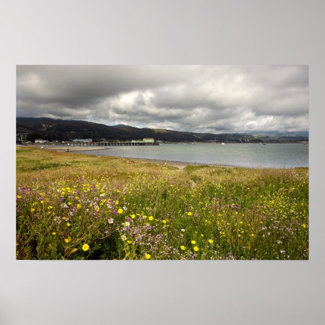 Affiche Customizable Poster: Half Moon Bay in Spring (Devant)